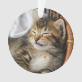 Niedliche Kleintiere | Niedlicher Tabby Cat Sleepi Ornament (Vorderseite)