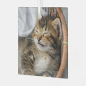 Niedliche Kleintiere | Niedlicher Tabby Cat Sleepi Ornament Aus Glas (Vorderseite links)