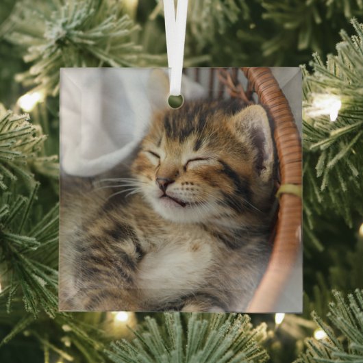Niedliche Kleintiere | Niedlicher Tabby Cat Sleepi Ornament Aus Glas (Insitu)