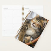 Niedliche Kleintiere | Niedlicher Tabby Cat Sleepi Planer (Anzeige)
