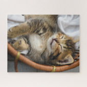 Niedliche Kleintiere | Niedlicher Tabby Cat Sleepi Puzzle (Horizontal)