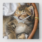 Niedliche Kleintiere | Niedlicher Tabby Cat Sleepi Quadratische Wanduhr (Vorderseite)