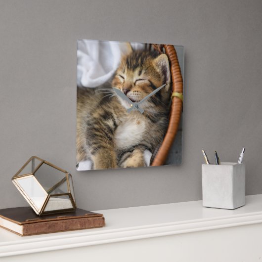 Niedliche Kleintiere | Niedlicher Tabby Cat Sleepi Quadratische Wanduhr (Büro)
