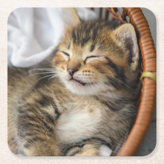 Niedliche Kleintiere | Niedlicher Tabby Cat Sleepi Rechteckiger Pappuntersetzer (Vorderseite)