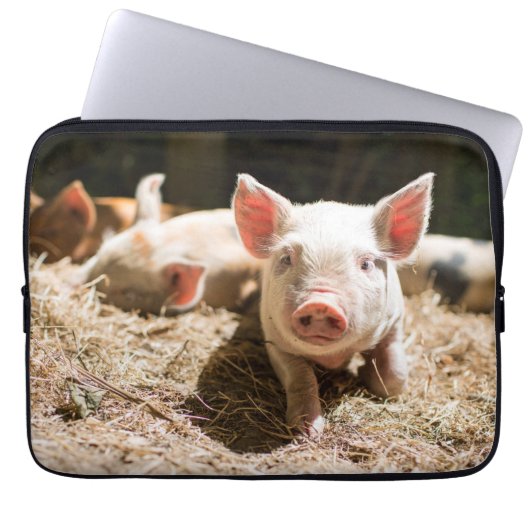 Niedliche Kleintiere | Niedliches Baby Laptopschutzhülle (Vorderseite)