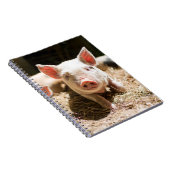 Niedliche Kleintiere | Niedliches Baby Notizblock (Rechte Seite)