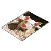 Niedliche Kleintiere | Niedliches Baby Notizblock (Linke Seite)