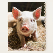 Niedliche Kleintiere | Niedliches Baby Planer (Rückseite)