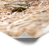 Niedliche Kleintiere | Niedliches Baby Poster (Ecke)