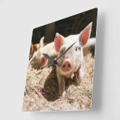 Niedliche Kleintiere | Niedliches Baby Quadratische Wanduhr (Winkel)