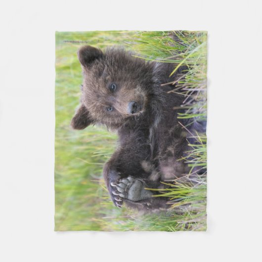 Niedliche Kleintiere | Niedliches Braunbären - Kür Fleecedecke (Vorderseite)