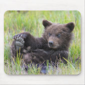 Niedliche Kleintiere | Niedliches Braunbären - Kür Mousepad (Vorne)