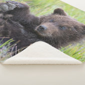 Niedliche Kleintiere | Niedliches Braunbären - Kür Sherpadecke (3/4)