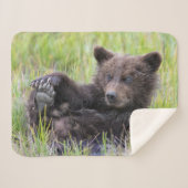 Niedliche Kleintiere | Niedliches Braunbären - Kür Sherpadecke (Vorderseite (Horizontal))