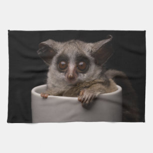 Niedliche Kleintiere   Niedliches Bushbaby Geschirrtuch