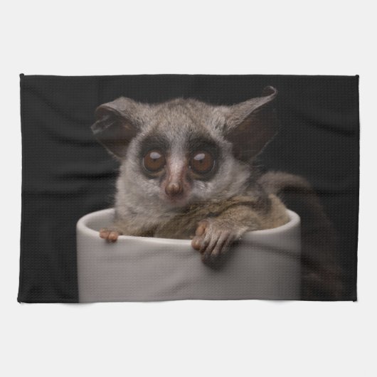 Niedliche Kleintiere | Niedliches Bushbaby Geschirrtuch (Horizontal)