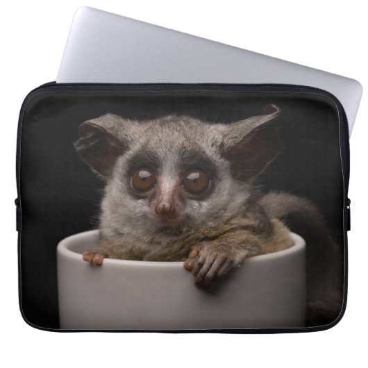 Niedliche Kleintiere | Niedliches Bushbaby Laptopschutzhülle (Vorderseite)