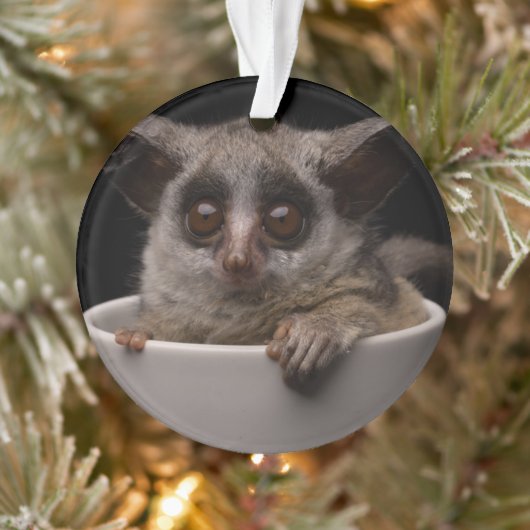 Niedliche Kleintiere | Niedliches Bushbaby Ornament (Baum)