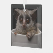 Niedliche Kleintiere | Niedliches Bushbaby Ornament Aus Glas (Vorderseite links)