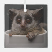 Niedliche Kleintiere | Niedliches Bushbaby Ornament Aus Glas (Vorderseite)