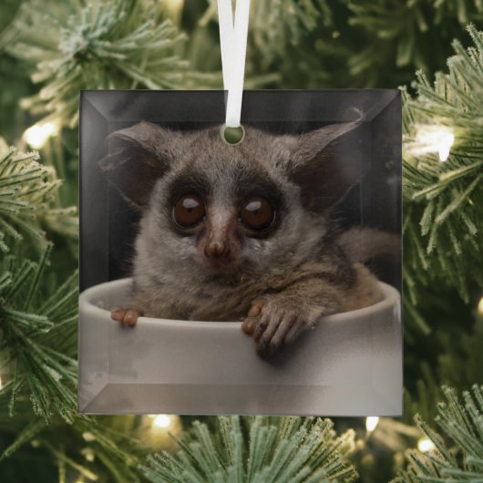 Niedliche Kleintiere | Niedliches Bushbaby Ornament Aus Glas (Insitu)