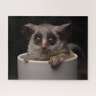 Niedliche Kleintiere Niedliches Bushbaby Puzzle
