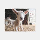 Niedliche Kleintiere | Niedliches Lamm in einem la Fleecedecke (Vorderseite (Horizontal))