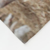 Niedliche Kleintiere | Niedliches Lamm in einem la Fleecedecke (Ecke)