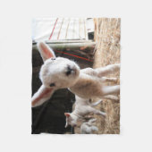 Niedliche Kleintiere | Niedliches Lamm in einem la Fleecedecke (Vorderseite)