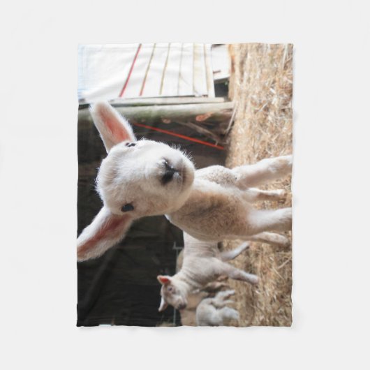 Niedliche Kleintiere | Niedliches Lamm in einem la Fleecedecke (Vorderseite)