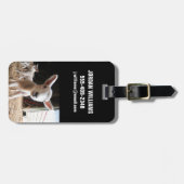 Niedliche Kleintiere | Niedliches Lamm in einem la Gepäckanhänger (Vorderseite horizontal)