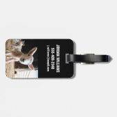 Niedliche Kleintiere | Niedliches Lamm in einem la Gepäckanhänger (Rückseite horizontal)