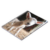 Niedliche Kleintiere | Niedliches Lamm in einem la Notizblock (Linke Seite)