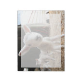 Niedliche Kleintiere | Niedliches Lamm in einem la Notizblock (Rotiert)