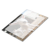 Niedliche Kleintiere | Niedliches Lamm in einem la Notizblock (angewinkelt)