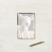 Niedliche Kleintiere | Niedliches Lamm in einem la Post-it Klebezettel (Auf Schreibtisch)