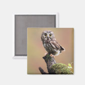 Niedliche Kleintiere | Nördliches Sägemehl Magnet (Vorderseite/Rückseite)