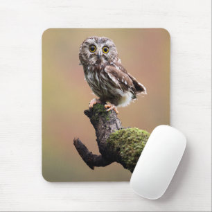Niedliche Kleintiere Nördliches Sägemehl Mousepad