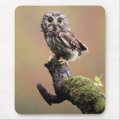 Niedliche Kleintiere | Nördliches Sägemehl Mousepad (Vorne)