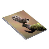 Niedliche Kleintiere | Nördliches Sägemehl Notizblock (Rechte Seite)