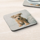 Niedliche Kleintiere | Norfolk Terrier Puppy Getränkeuntersetzer (Linke Seite)