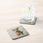 Niedliche Kleintiere | Norfolk Terrier Puppy Getränkeuntersetzer (Rechte Seite)