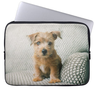 Niedliche Kleintiere Norfolk Terrier Puppy Laptopschutzhülle