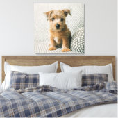 Niedliche Kleintiere | Norfolk Terrier Puppy Leinwanddruck (Insitu (Schlafzimmer))
