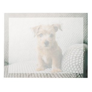 Niedliche Kleintiere   Norfolk Terrier Puppy Notizblock
