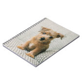 Niedliche Kleintiere | Norfolk Terrier Puppy Notizblock (Linke Seite)