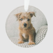 Niedliche Kleintiere | Norfolk Terrier Puppy Ornament (Vorderseite)