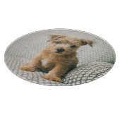 Niedliche Kleintiere | Norfolk Terrier Puppy Schneidebrett (Ecke)