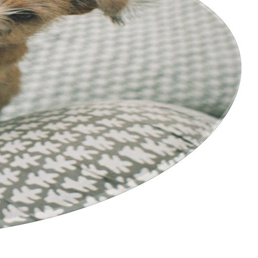 Niedliche Kleintiere | Norfolk Terrier Puppy Schneidebrett (Ecke)