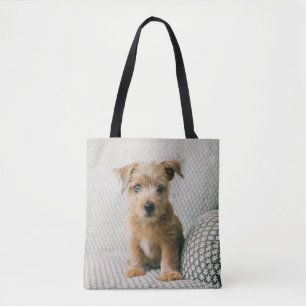 Niedliche Kleintiere Norfolk Terrier Puppy Tasche